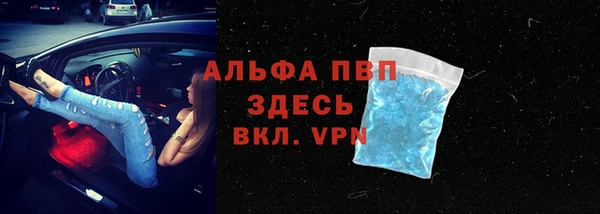 хмурый Гусев