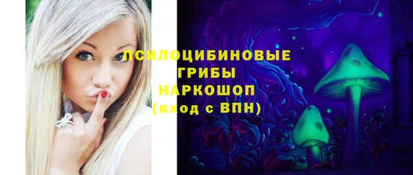 хмурый Гусев