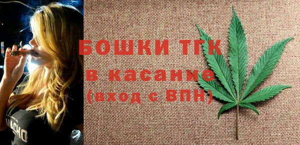 хмурый Гусев