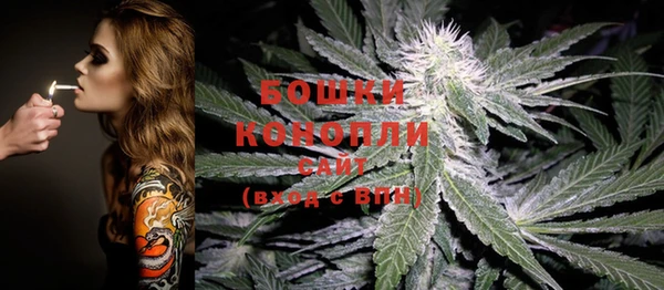 MESCALINE Гусь-Хрустальный