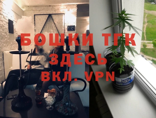 хмурый Гусев