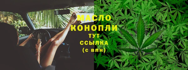 хмурый Гусев