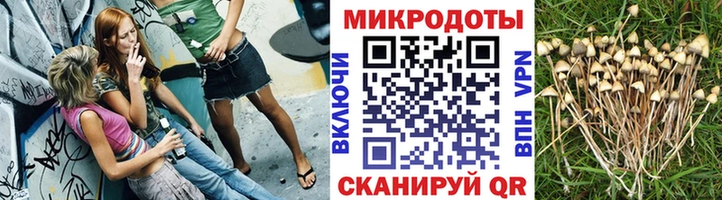 Псилоцибиновые грибы Cubensis  Купить закладки  Каменск-Шахтинский 